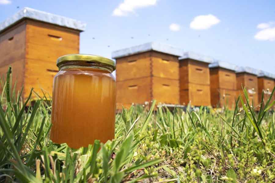 Come può il miele aiutare ad avere un'erezione migliore