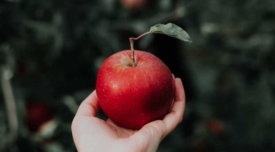 Benefici e vantaggi della pectina di mele